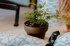 HSHTablescapes2024_RannPhotography-192